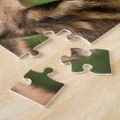 Puzzle Curieux orignal (Côté)