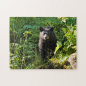 Puzzle Curieux ours noir (Horizontal)
