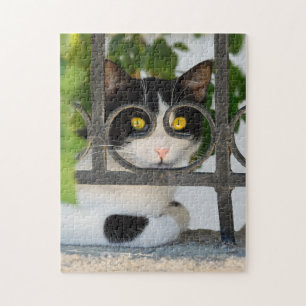 Puzzle Curious Cat with Spectacles Frame Funny Jigsaw