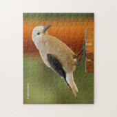 Puzzle Curious Clark's Nutcracker (Vertical)