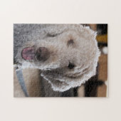 Puzzle Cute (Horizontal)