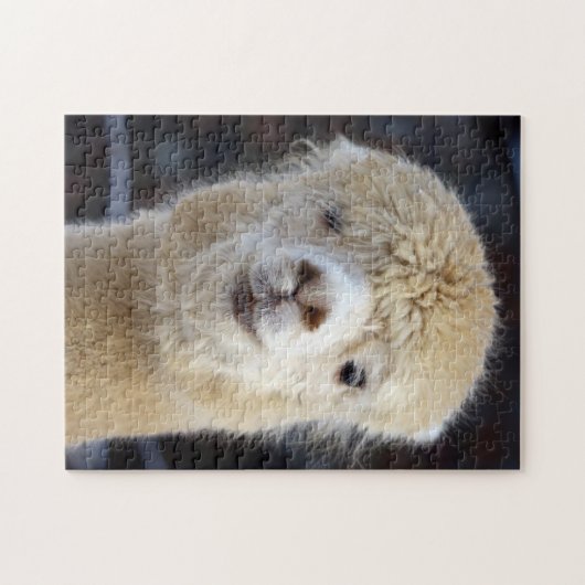 Puzzle Cute Alpaca face (Horizontal)