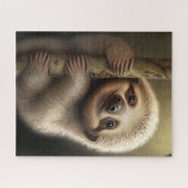 Puzzle Cute Baby Sloth Smiling Wildlife Nature Animal (Horizontal)