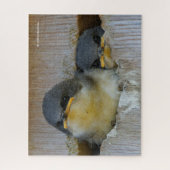Puzzle Cute Baby Tree Swallows Regard sur le Grand Monde (Vertical)