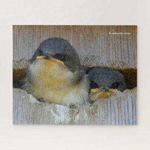Puzzle Cute Baby Tree Swallows Regard sur le Grand Monde