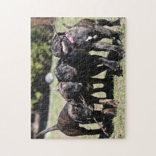 Puzzle Cute Cane Corso Chiot (Vertical)
