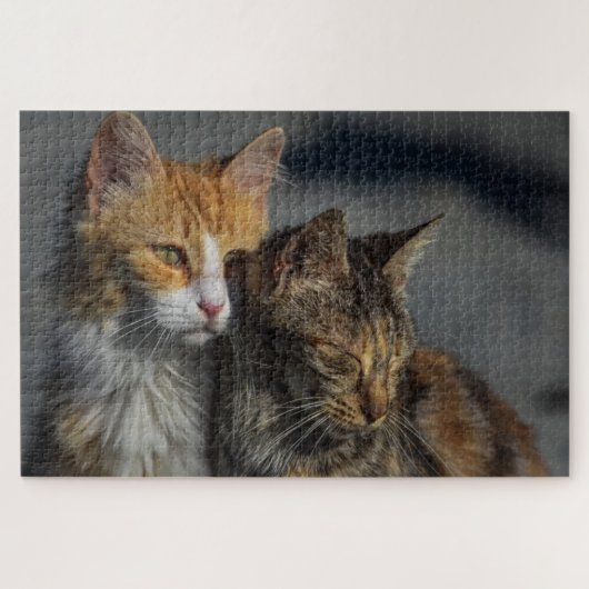 Puzzle Cute Cat (Horizontal)