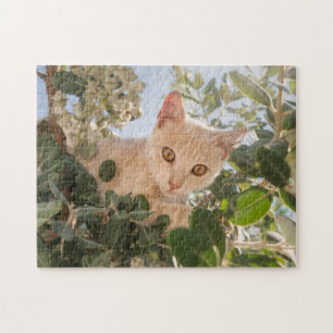 Puzzle Cute Cat Kitten escalade dans un Eucalyptus Tree -