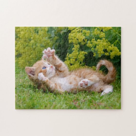 Puzzle Cute chaton jouant dans un jardin fleuri .. (Horizontal)
