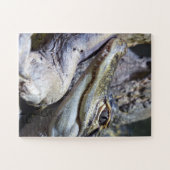 Puzzle Cute Cheeky Baby Crocodile Smiling (Horizontal)