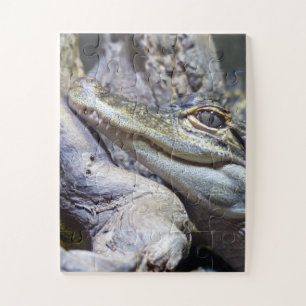 Puzzle Cute Cheeky Baby Crocodile Smiling