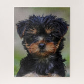 Puzzle Cute chiot Yorkie (Vertical)