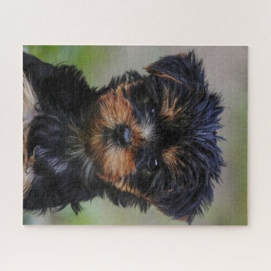 Puzzle Cute chiot Yorkie (Horizontal)