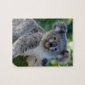 Puzzle Cute cuddly Australian koala (Horizontal)