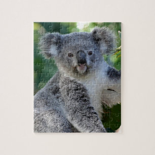 Puzzle Cute cuddly Australian koala