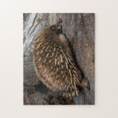 Puzzle Cute Echidna Australie, Enfants 252 pièces (Vertical)
