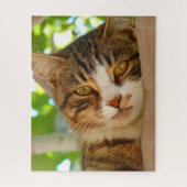 Puzzle Cute Escalade de chat un arbre (Vertical)