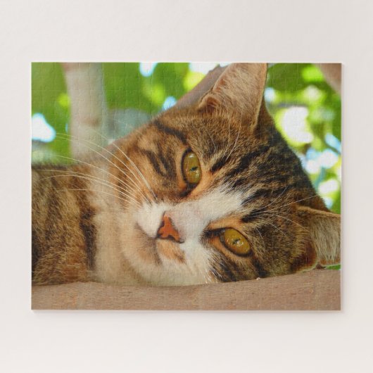 Puzzle Cute Escalade de chat un arbre (Horizontal)
