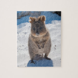 Puzzle Cute et heureuse Quokka sur la plage en Australie