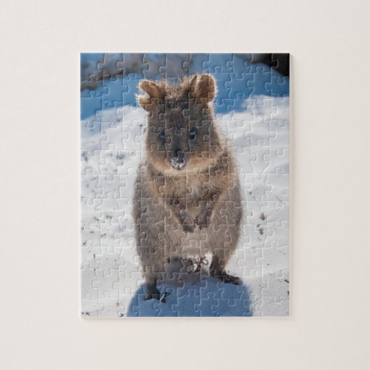 Puzzle Cute et heureuse Quokka sur la plage en Australie (Vertical)