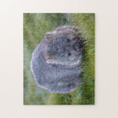 Puzzle Cute Exotic Wombat Animal Wildlife, 252 pièces (Vertical)