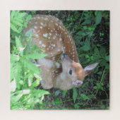 Puzzle Cute Fawn (Horizontal)