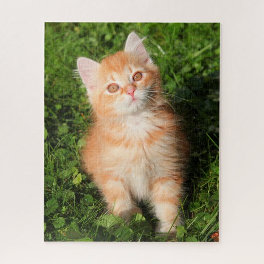 Puzzle Cute Fluffé Orange Tabby Chat Kitten (Vertical)