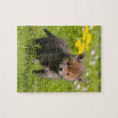 Puzzle Cute Fluffy Red Fox Cub Wild Baby Animal Jeu 8x10 (Horizontal)