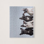 Puzzle Cute French Bulldog Puppies (Vertical)