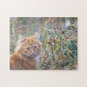 Puzzle Cute Funky Ginger Chat Kitten Herbe Visage