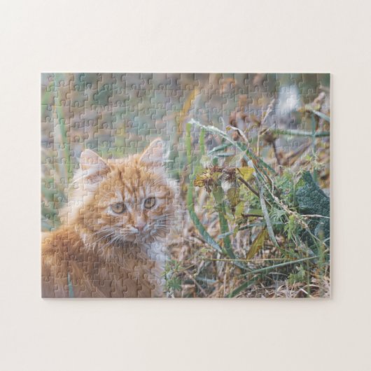 Puzzle Cute Funky Ginger Chat Kitten Herbe Visage (Horizontal)