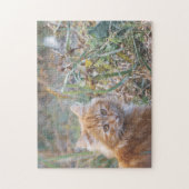 Puzzle Cute Funky Ginger Chat Kitten Herbe Visage (Vertical)