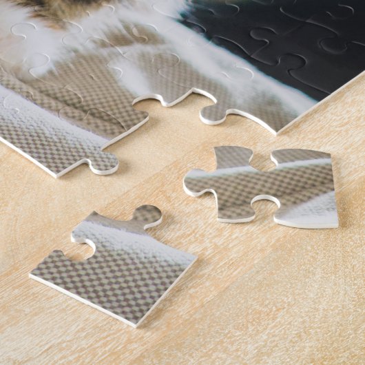 Puzzle Cute Fuzzy Calico Tabby Kitten Photo Chat (Côté)