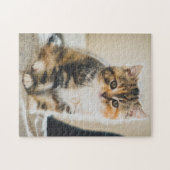 Puzzle Cute Fuzzy Calico Tabby Kitten Photo Chat (Horizontal)