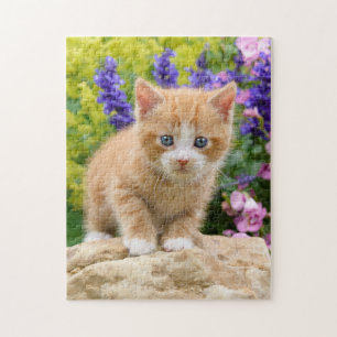 Puzzle Cute Ginger Chat Kitten dans Jardin Fleurs _ Jeu