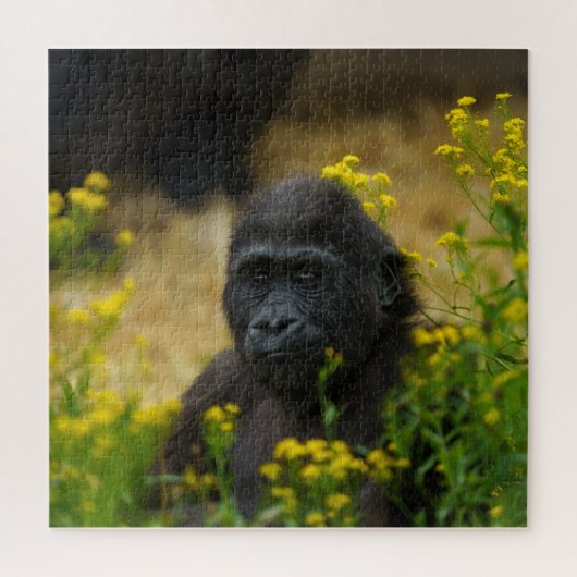 Puzzle Cute Gorilla Baby (Vertical)