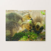 Puzzle Cute Gosling (Horizontal)