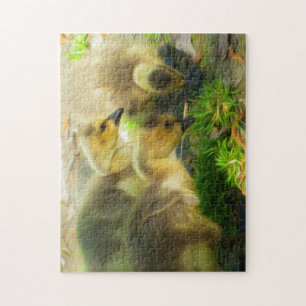 Puzzle Cute Gosling