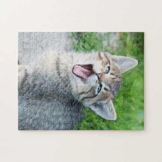 Puzzle Cute Grey Kitten Yawning (Horizontal)