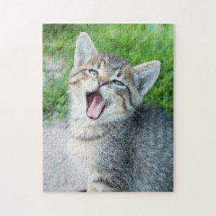 Puzzle Cute Grey Kitten Yawning
