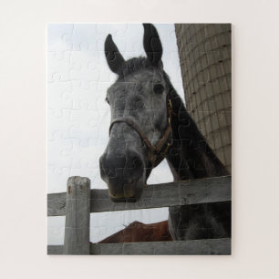 Puzzle Cute Horse Fermer