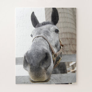 Puzzle Cute Horse Fermer