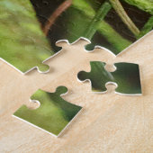 Puzzle Cute Kinglet Songbird Causes Stir in the Fir (Côté)