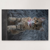 Puzzle Cute kitten portrait de chat, 1014 pièces (Horizontal)