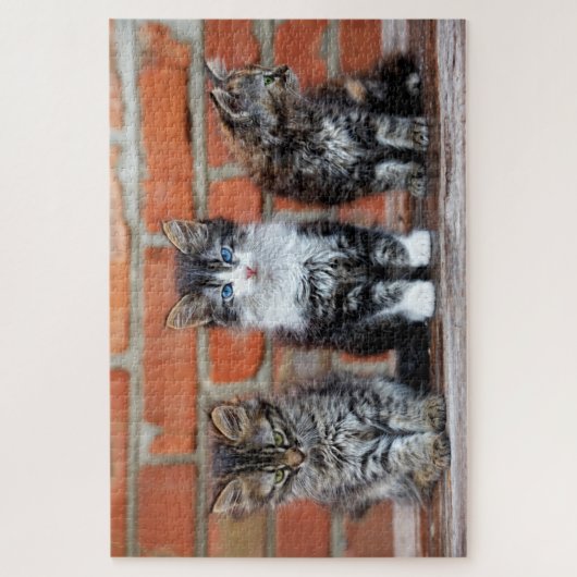 Puzzle Cute Kittens Assis Devant Un Mur De Briques (Vertical)