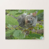 Puzzle Cute Koala Bear Baby Australie Photographie (Horizontal)
