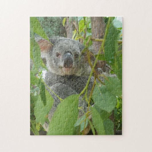 Puzzle Cute Koala Bear Baby Australie Photographie (Vertical)
