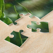 Puzzle Cute Koala Ours sur un arbre (Côté)