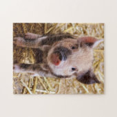 Puzzle Cute KuneKune Piglet (Horizontal)