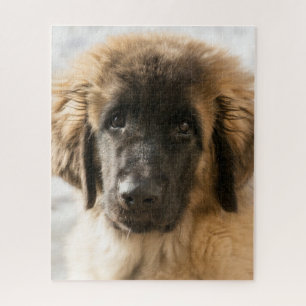 Puzzle Cute Leonberger Puppy